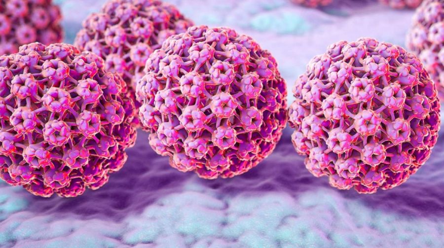 علائم HPV در مردان و زنان